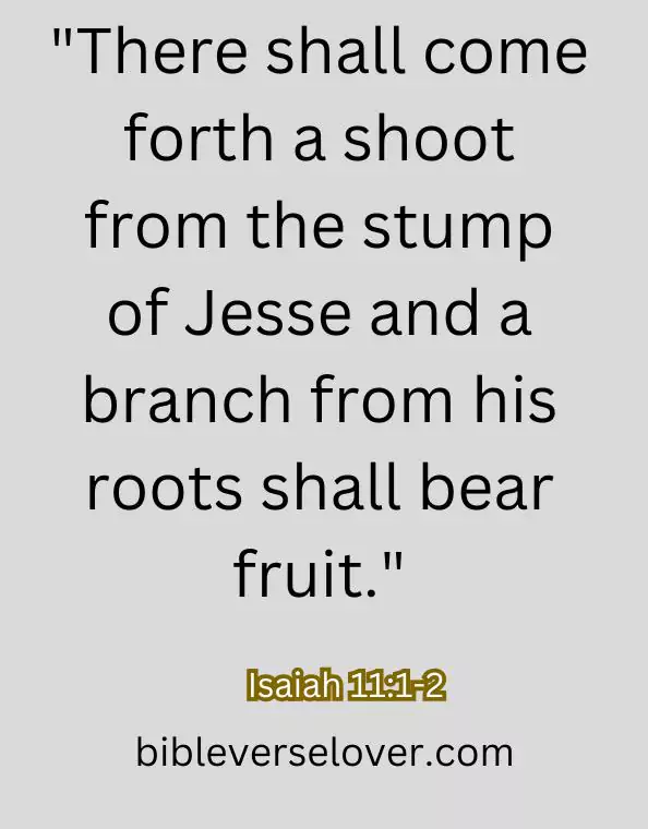 isaiah bible verses