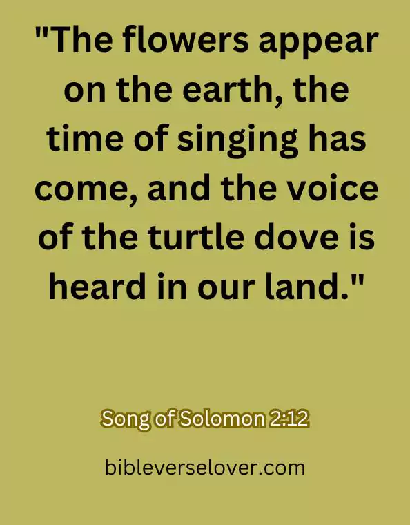 bible verses about spring