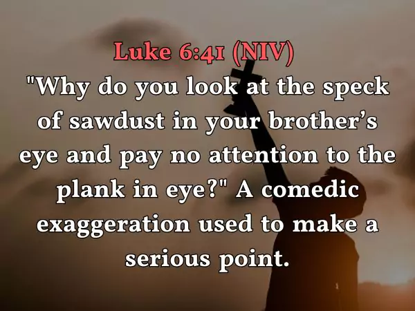 funny bible verses
