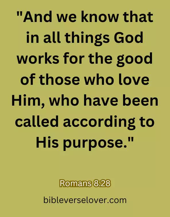 Morning Bible Verse Quotes