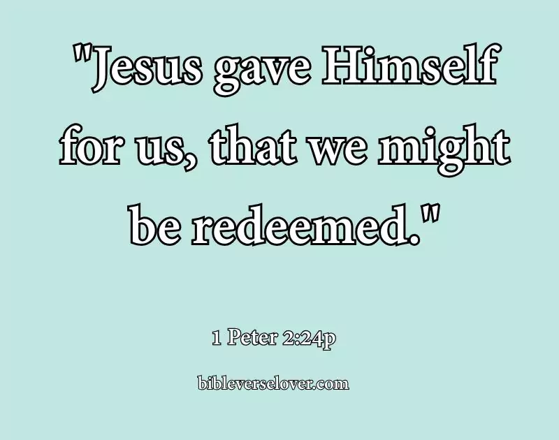 hands and feet of jesus bible verse