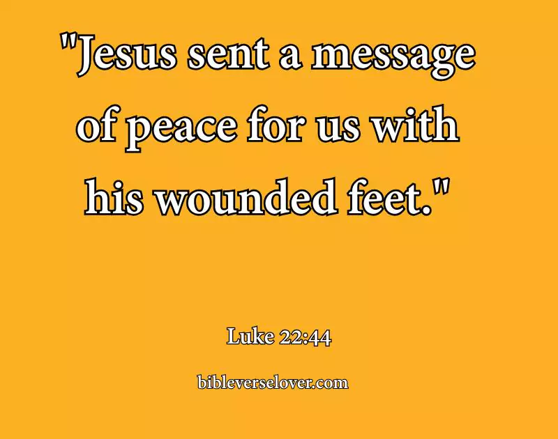 hands and feet of jesus bible verse