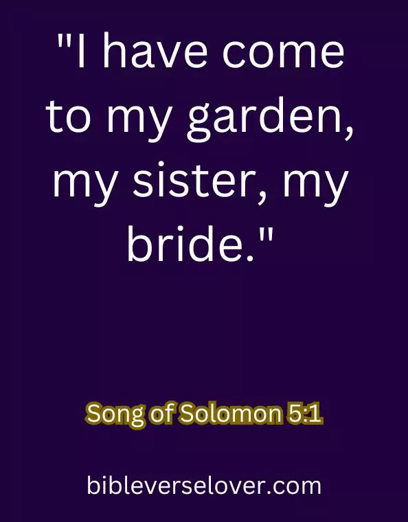 wedding bible verses song of solomon