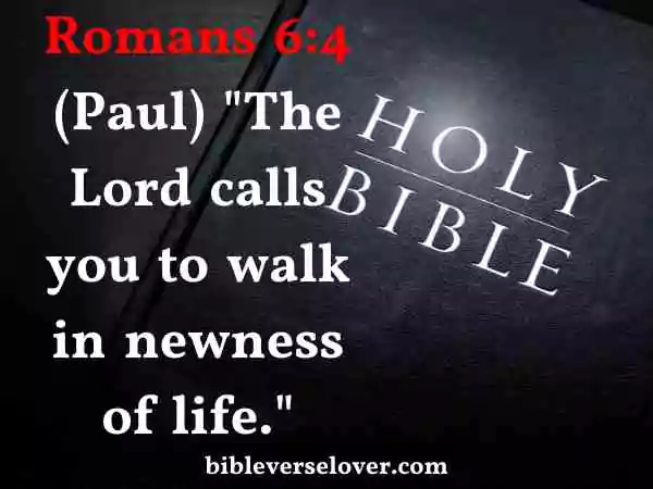 walking with jesus bible verse