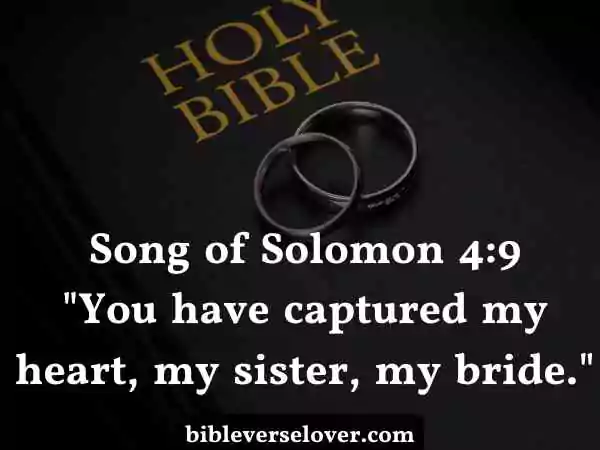 wedding bible verses song of solomon