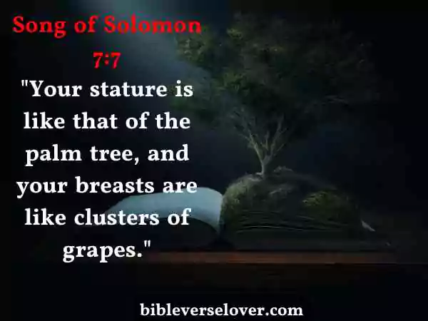 wedding bible verses song of solomon