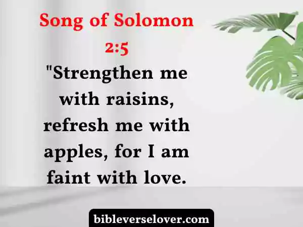 wedding bible verses song of solomon