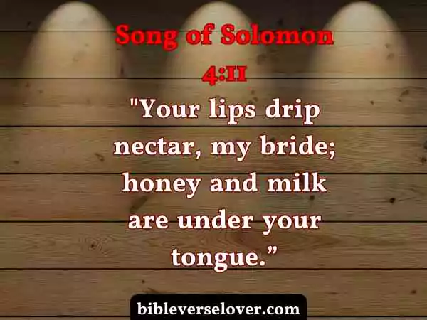 wedding bible verses song of solomon