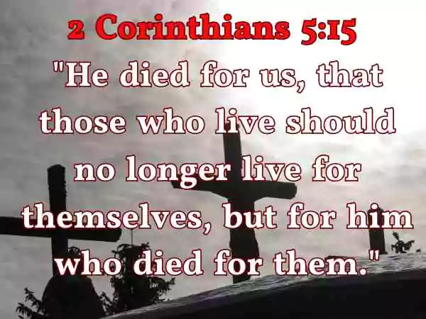 Bible Verse About Jesus Dying for Our Sins
