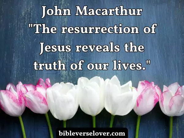 Jesus is alive