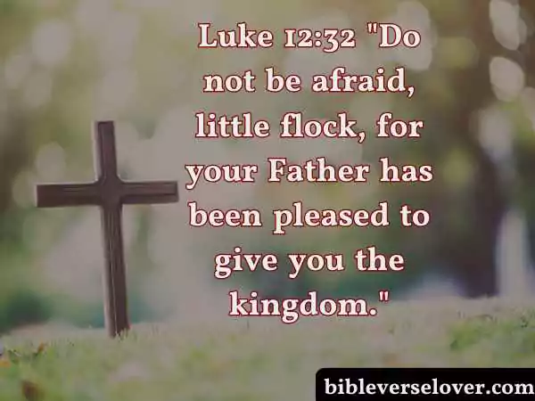 Bible verses about miracles