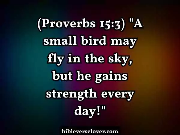 Weird Bible Verses