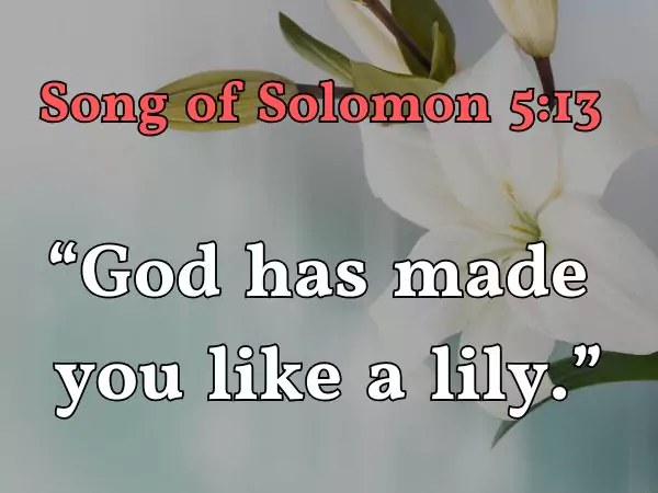 Bible verses about flowers