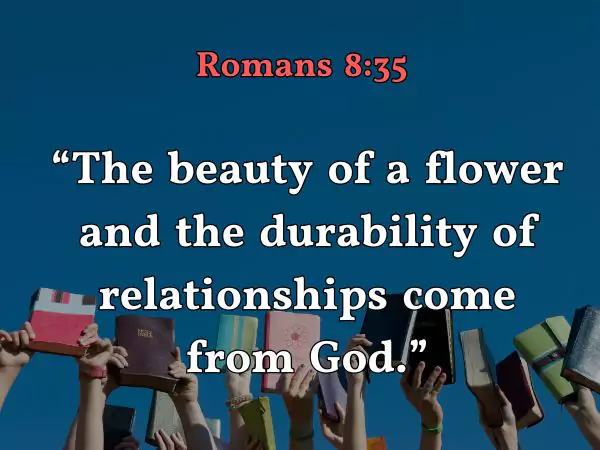 Bible verses about flowers