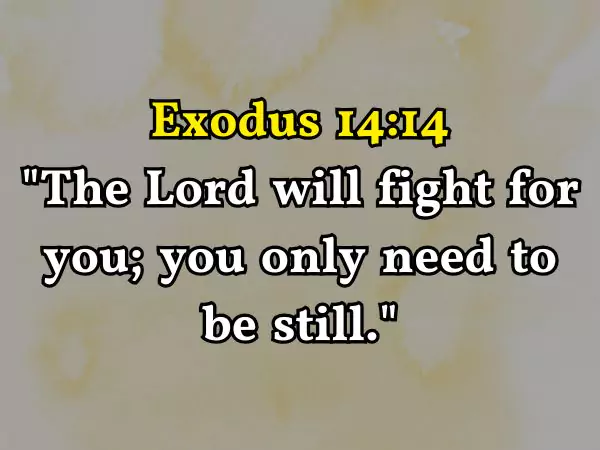 Bible Verse T-Shirts