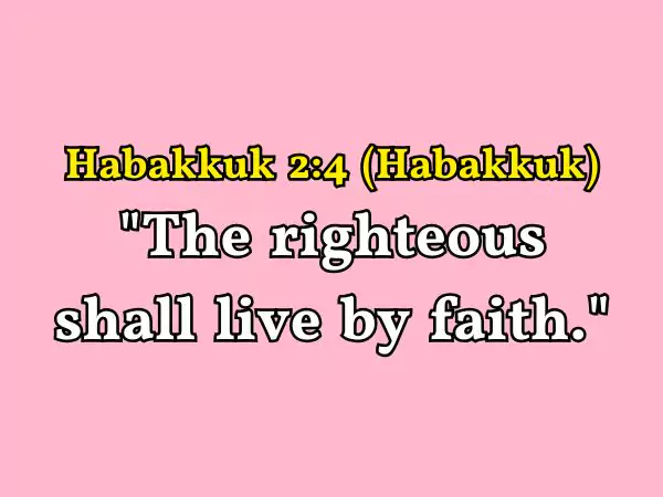 Bible Verse T-Shirts