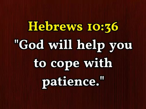 Bible Verses for an Athlete