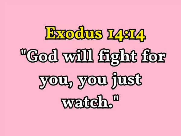Bible Verses for an Athlete
