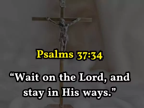 Wait Bible Quotes